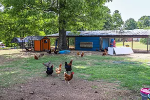 9466 Clarks Mill Rd, Avera, GA 30803 - Photo 67