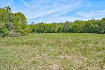 4375 Chamberlain S Ferry Road, Lincolnton, GA 30817 - Photo 31