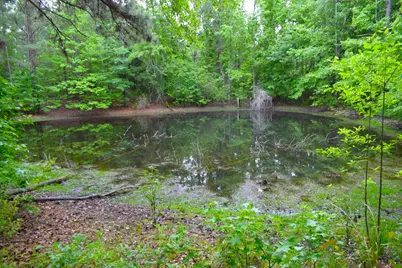 3444 Sandhill Road, Thomson, GA 30824 - Photo 53