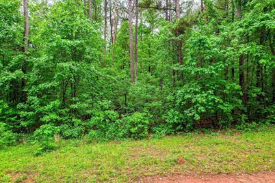 1622 Hinton Wilson Road, Harlem, GA 30814 - Photo 3