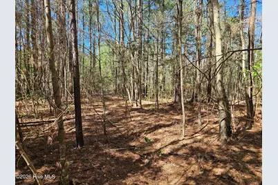 57 Eagle Nest Trail, Blounts Creek, NC 27814 - Photo 11