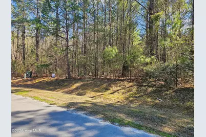 57 Eagle Nest Trail, Blounts Creek, NC 27814 - Photo 7