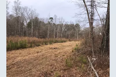 00 Vinson Rd., Clayton, NC 27527 - Photo 3