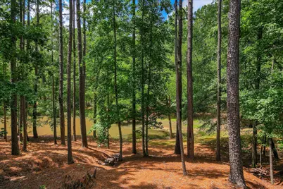 3005 Timber Woods Drive, Appling, GA 30802 - Photo 61