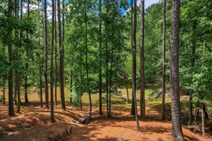 3005 Timber Woods Dr, Appling, GA 30802 - Photo 61