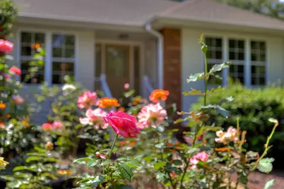 140 Bereau Drive, McCormick, SC 29835 - Photo 7