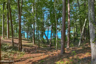202 Deer Run Ln, McCormick, SC 29835 - Photo 65