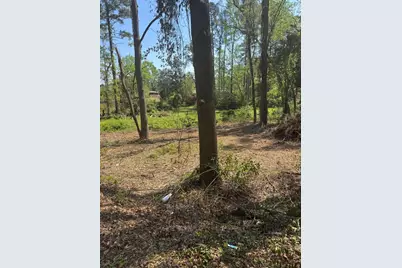 3044 Wheeler Road, Augusta, GA 30909 - Photo 5
