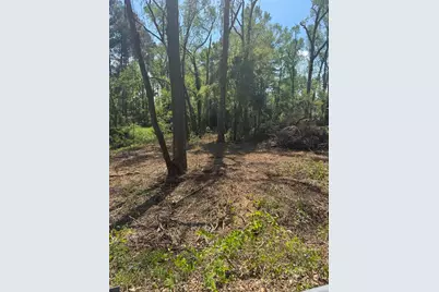 3044 Wheeler Road, Augusta, GA 30909 - Photo 3
