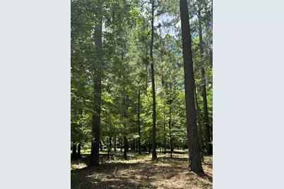 B15 L6 Colleen Place, McCormick, SC 29835 - Photo 9