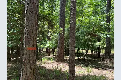 B15 L6 Colleen Place, McCormick, SC 29835 - Photo 11