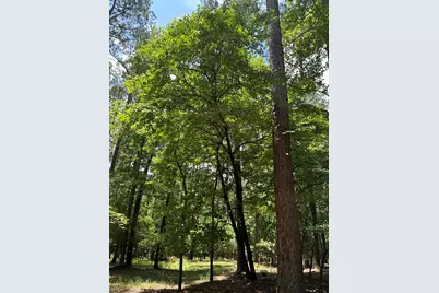 B15 L6 Colleen Place, McCormick, SC 29835 - Photo 5