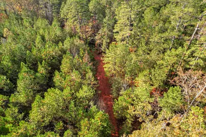 Tbd2 Sc-23, Edgefield, SC 29824 - Photo 35