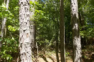 12 Doe Run, Lincolnton, GA 30817 - Photo 1