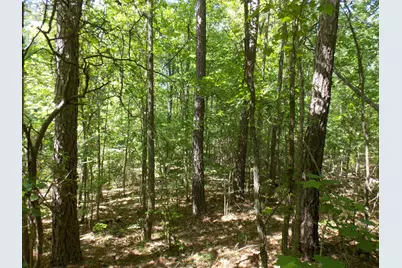 12 Doe Run, Lincolnton, GA 30817 - Photo 3
