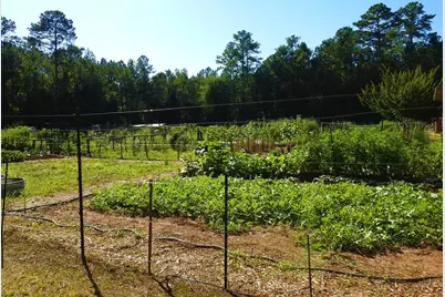 L13 B28 Monroe Lane, McCormick, SC 29835 - Photo 21