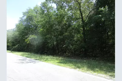 1436 Hephzibah McBean Road, Hephzibah, GA 30815 - Photo 1