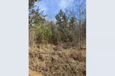 0 Clanton Road, Evans, GA 30809 - Photo 9