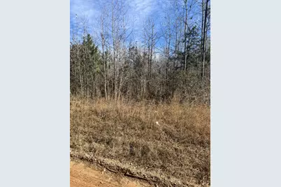 0 Clanton Road, Evans, GA 30809 - Photo 7