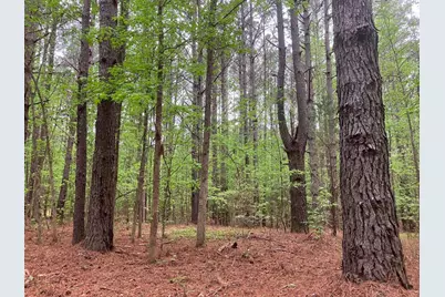 905 Neptune Trail, Appling, GA 30802 - Photo 5