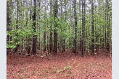 905 Neptune Trail, Appling, GA 30802 - Photo 9