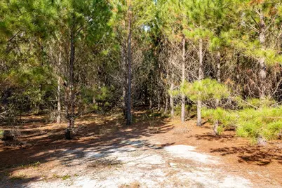 00 Edgefield Road, Trenton, SC 29847 - Photo 19