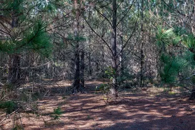 00 Edgefield Road, Trenton, SC 29847 - Photo 17