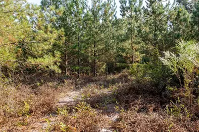 00 Edgefield Road, Trenton, SC 29847 - Photo 21
