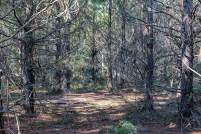 00 Edgefield Road, Trenton, SC 29847 - Photo 23