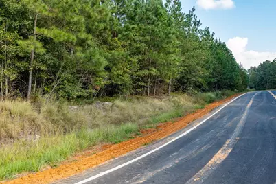 00 Edgefield Road, Trenton, SC 29847 - Photo 13