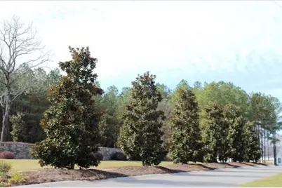 1229 Yost Drive, Appling, GA 30802 - Photo 3