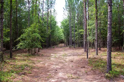 1515G Hephzibah - McBean Road, Hephzibah, GA 30815 - Photo 11