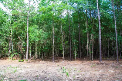 1515G Hephzibah - McBean Road, Hephzibah, GA 30815 - Photo 15