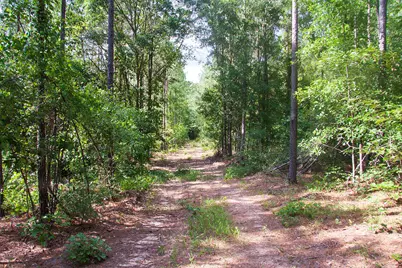 1515B Hephzibah McBean Road, Hephzibah, GA 30815 - Photo 5