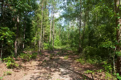 1515B Hephzibah McBean Road, Hephzibah, GA 30815 - Photo 9