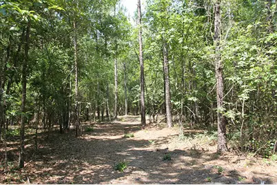 1515H Hephzibah - McBean Road, Hephzibah, GA 30815 - Photo 19