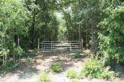 1515H Hephzibah - McBean Road, Hephzibah, GA 30815 - Photo 3