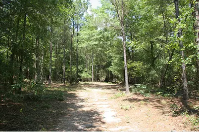 1515H Hephzibah - McBean Road, Hephzibah, GA 30815 - Photo 29
