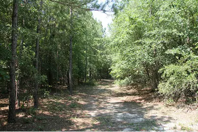 1515H Hephzibah - McBean Road, Hephzibah, GA 30815 - Photo 35