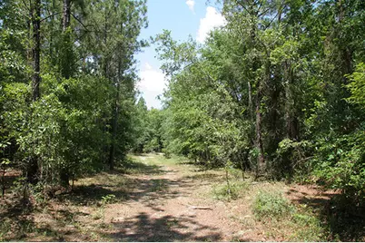 1515H Hephzibah - McBean Road, Hephzibah, GA 30815 - Photo 33