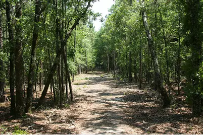 1515H Hephzibah - McBean Road, Hephzibah, GA 30815 - Photo 39
