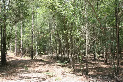 1515H Hephzibah - McBean Road, Hephzibah, GA 30815 - Photo 17