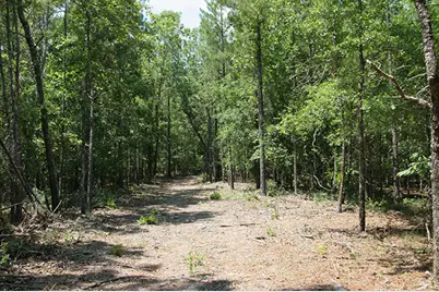 1515H Hephzibah - McBean Road, Hephzibah, GA 30815 - Photo 23