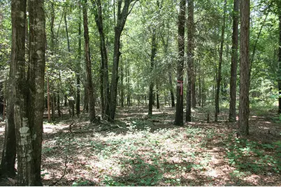 1515H Hephzibah - McBean Road, Hephzibah, GA 30815 - Photo 11