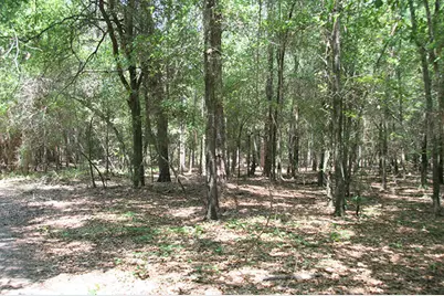 1515H Hephzibah - McBean Road, Hephzibah, GA 30815 - Photo 13