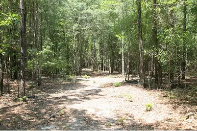 1515H Hephzibah - McBean Road, Hephzibah, GA 30815 - Photo 15