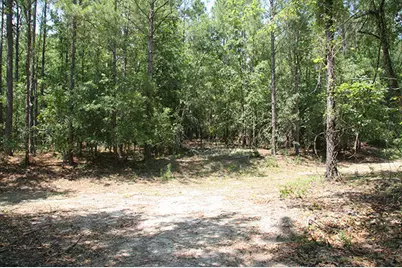 1515H Hephzibah - McBean Road, Hephzibah, GA 30815 - Photo 25