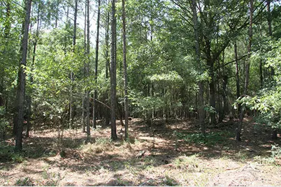 1515H Hephzibah - McBean Road, Hephzibah, GA 30815 - Photo 31