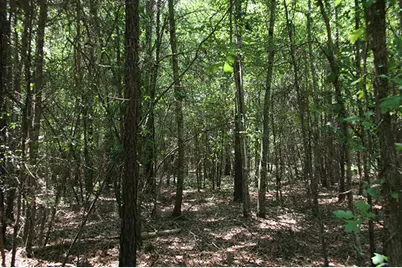 1515H Hephzibah - McBean Road, Hephzibah, GA 30815 - Photo 21
