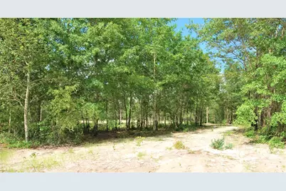 6 Sable Lane, Trenton, SC 29847 - Photo 9